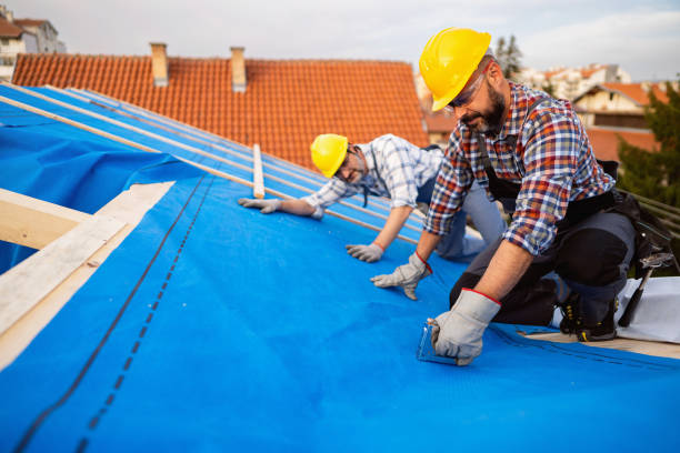 Best Roof Gutter Cleaning  in Morristown, IN